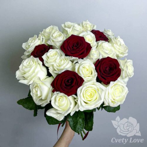 Букет из 25 красной и белой розы под ленту