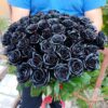 Букет из 51 черной розы